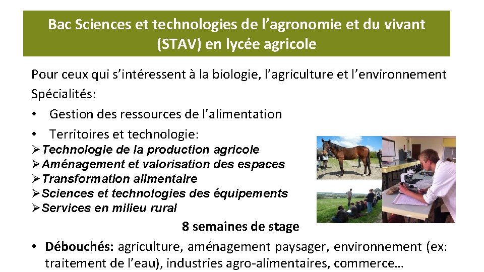 Bac Sciences et technologies de l’agronomie et du vivant (STAV) en lycée agricole Pour