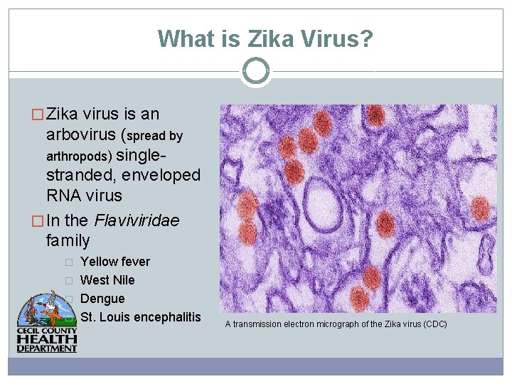 What is Zika Virus? � Zika virus is an arbovirus (spread by arthropods) singlestranded,