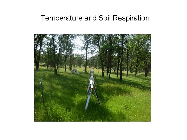 Temperature and Soil Respiration 