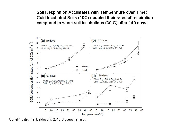 Soil Respiration Acclimates with Temperature over Time: Cold Incubated Soils (10 C) doubled their