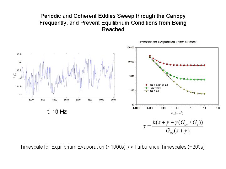 Periodic and Coherent Eddies Sweep through the Canopy Frequently, and Prevent Equilibrium Conditions from