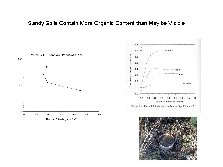 Sandy Soils Contain More Organic Content than May be Visible 