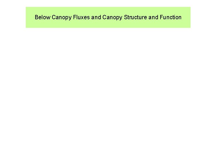 Below Canopy Fluxes and Canopy Structure and Function 