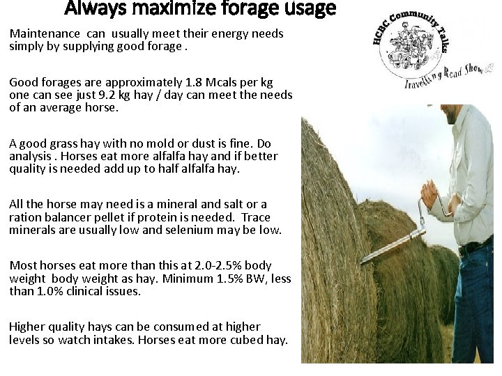 Always maximize forage usage Maintenance can usually meet their energy needs simply by supplying