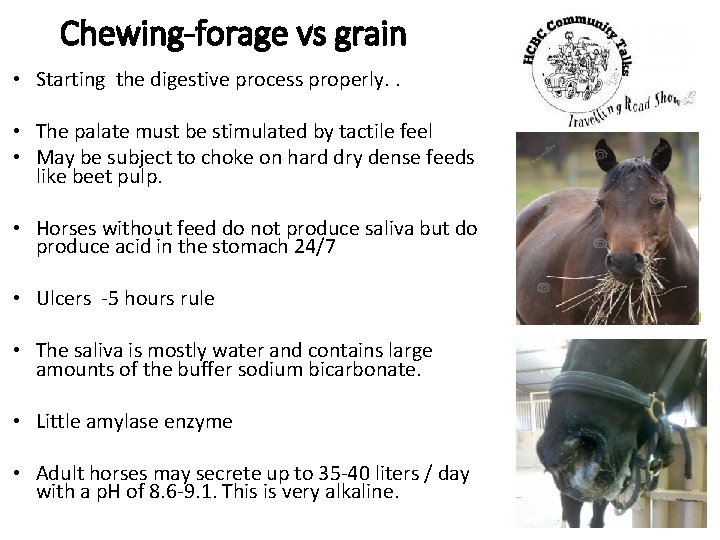 Chewing-forage vs grain • Starting the digestive process properly. . • The palate must