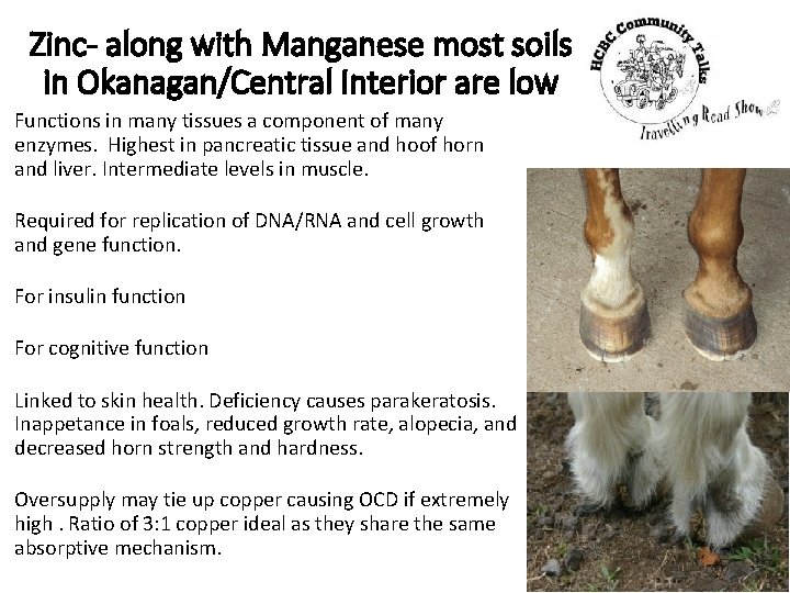 Zinc- along with Manganese most soils in Okanagan/Central Interior are low Functions in many