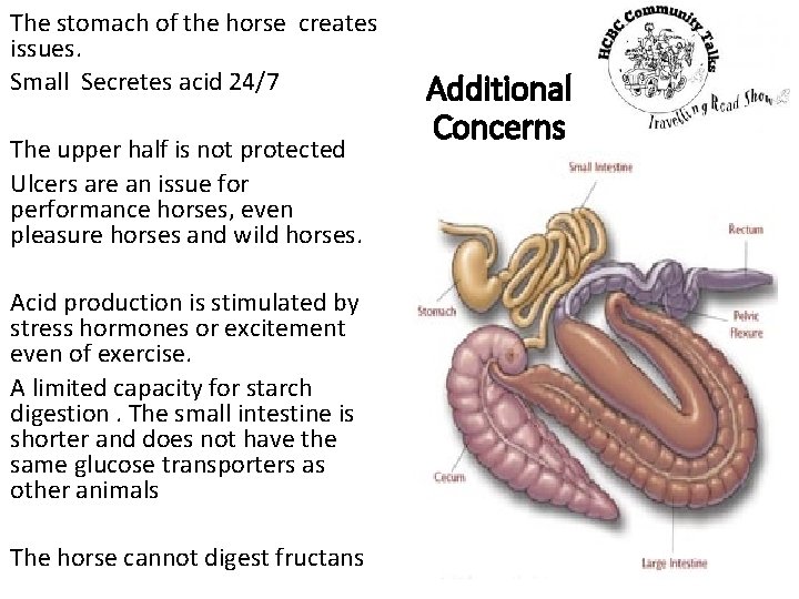 The stomach of the horse creates issues. Small Secretes acid 24/7 The upper half