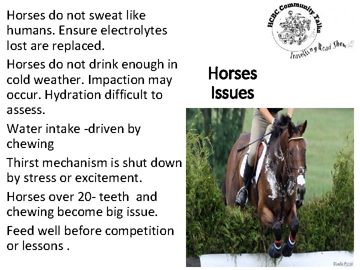 Horses do not sweat like humans. Ensure electrolytes lost are replaced. Horses do not