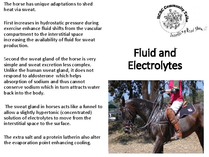 The horse has unique adaptations to shed heat via sweat. First increases in hydrostatic