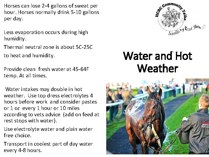 Horses can lose 2 -4 gallons of sweat per hour. Horses normally drink 5