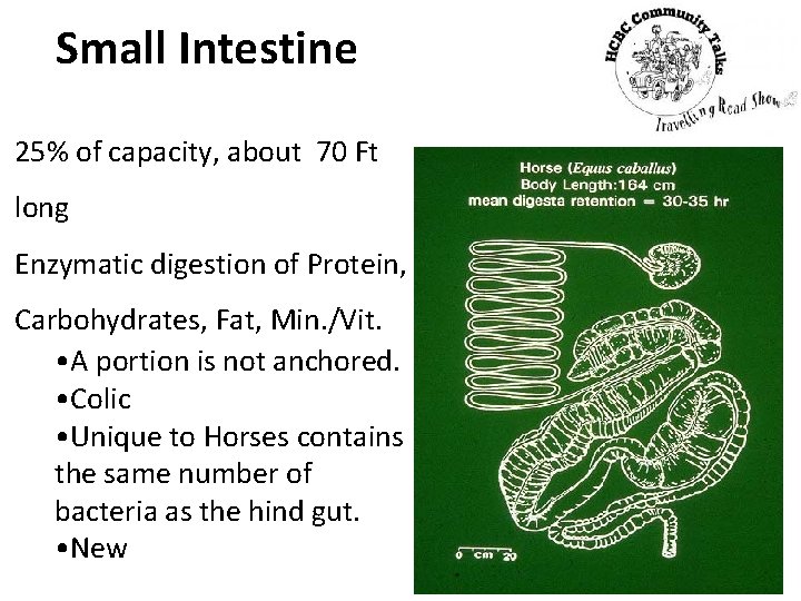 Small Intestine 25% of capacity, about 70 Ft long Enzymatic digestion of Protein, Carbohydrates,
