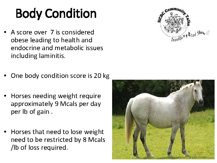 Body Condition • A score over 7 is considered obese leading to health and