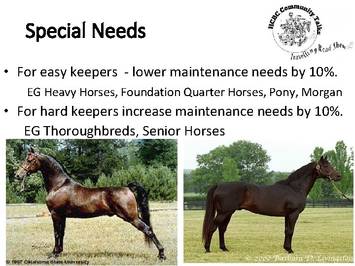 Special Needs • For easy keepers - lower maintenance needs by 10%. EG Heavy