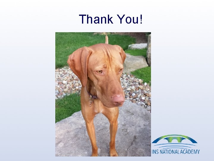 Thank You! Thank You!