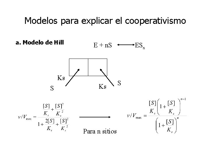 Modelos para explicar el cooperativismo a. Modelo de Hill E + n. S Ks