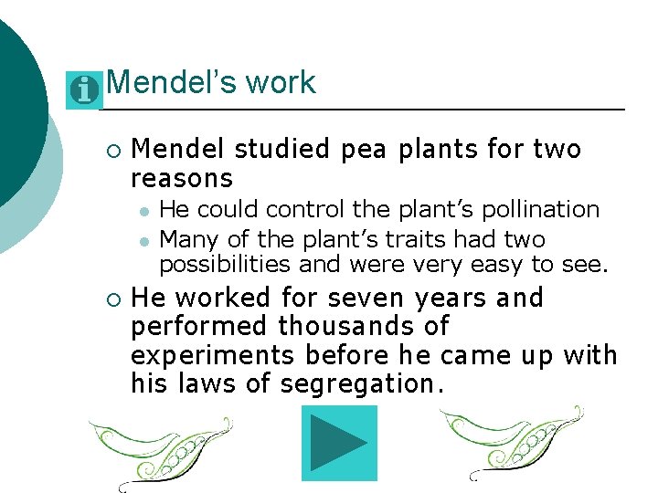 Mendel’s work ¡ Mendel studied pea plants for two reasons l l ¡ He Mendel’s work ¡ Mendel studied pea plants for two reasons l l ¡ He