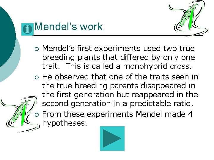 Mendel’s work ¡ ¡ ¡ Mendel’s first experiments used two true breeding plants that Mendel’s work ¡ ¡ ¡ Mendel’s first experiments used two true breeding plants that