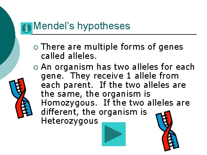 Mendel’s hypotheses There are multiple forms of genes called alleles. ¡ An organism has Mendel’s hypotheses There are multiple forms of genes called alleles. ¡ An organism has