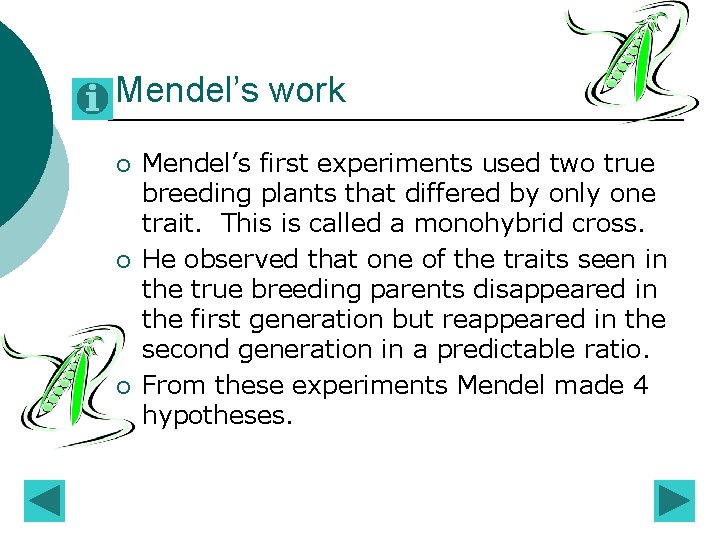 Mendel’s work ¡ ¡ ¡ Mendel’s first experiments used two true breeding plants that Mendel’s work ¡ ¡ ¡ Mendel’s first experiments used two true breeding plants that