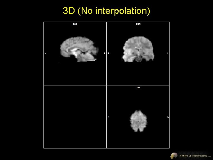 3 D (No interpolation) 