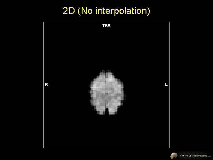 2 D (No interpolation) 