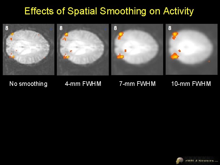 Effects of Spatial Smoothing on Activity No smoothing 4 -mm FWHM 7 -mm FWHM