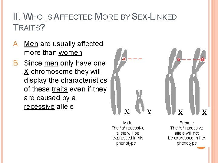 II. WHO IS AFFECTED MORE BY SEX-LINKED TRAITS? A. Men are usually affected more