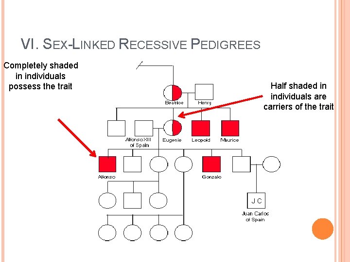 VI. SEX-LINKED RECESSIVE PEDIGREES Completely shaded in individuals possess the trait Half shaded in