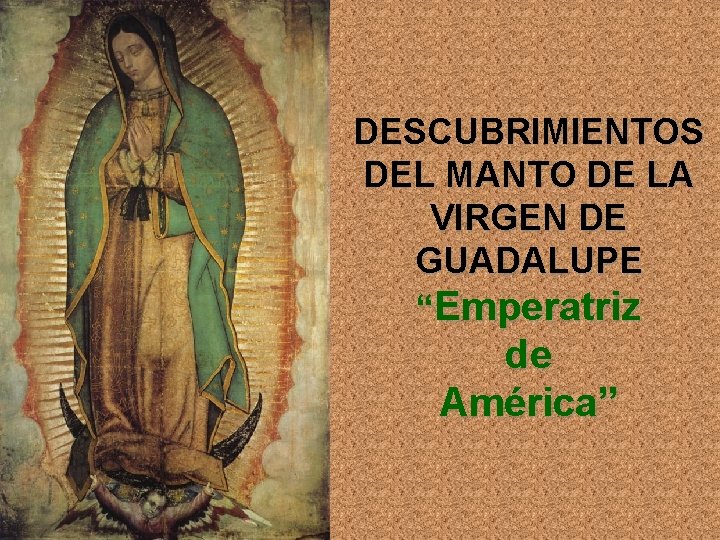 DESCUBRIMIENTOS DEL MANTO DE LA VIRGEN DE GUADALUPE “Emperatriz de América” 