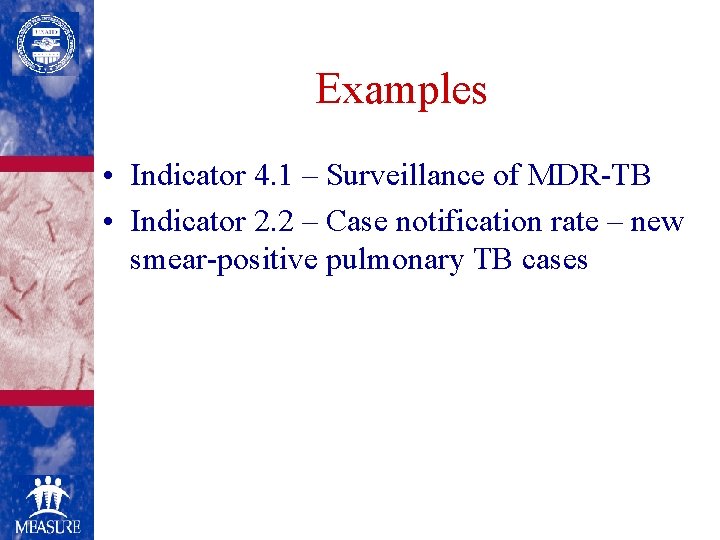 Examples • Indicator 4. 1 – Surveillance of MDR-TB • Indicator 2. 2 –