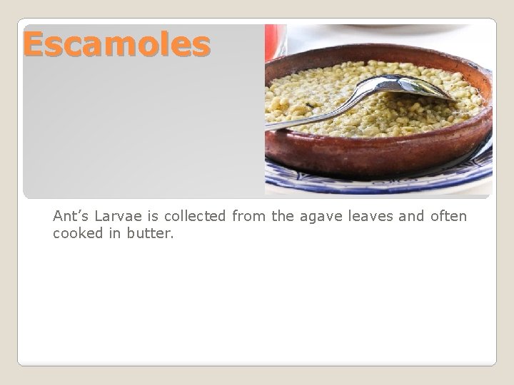 Escamoles Ant’s Larvae is collected from the agave leaves and often cooked in butter.