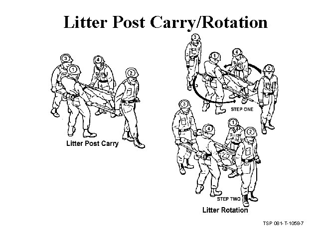 Litter Post Carry/Rotation TSP 081 -T-1058 -7 