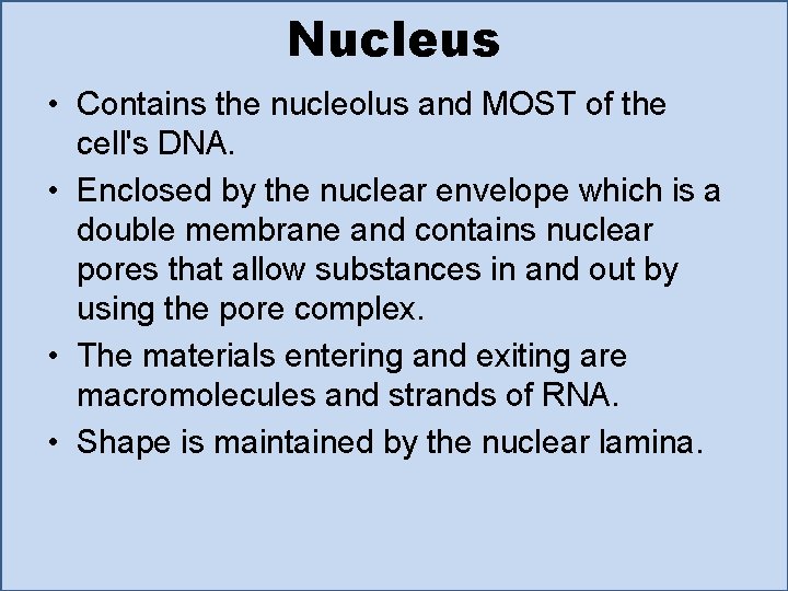 Nucleus • Contains the nucleolus and MOST of the cell's DNA. • Enclosed by