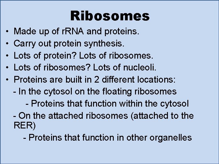 Ribosomes • • • Made up of r. RNA and proteins. Carry out protein