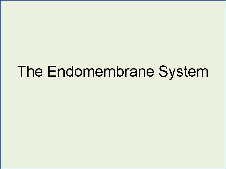 The Endomembrane System 