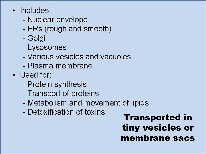  • Includes: - Nuclear envelope - ERs (rough and smooth) - Golgi -