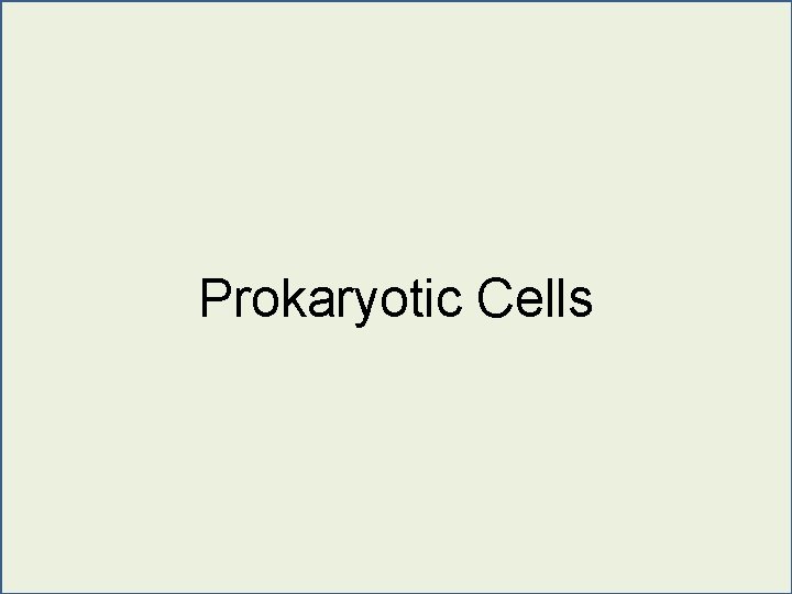 Prokaryotic Cells 