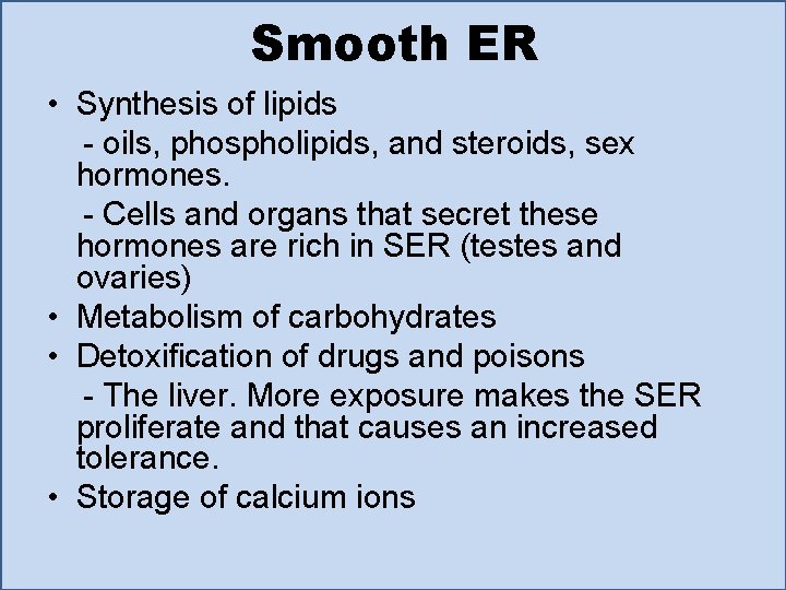 Smooth ER • Synthesis of lipids - oils, phospholipids, and steroids, sex hormones. -