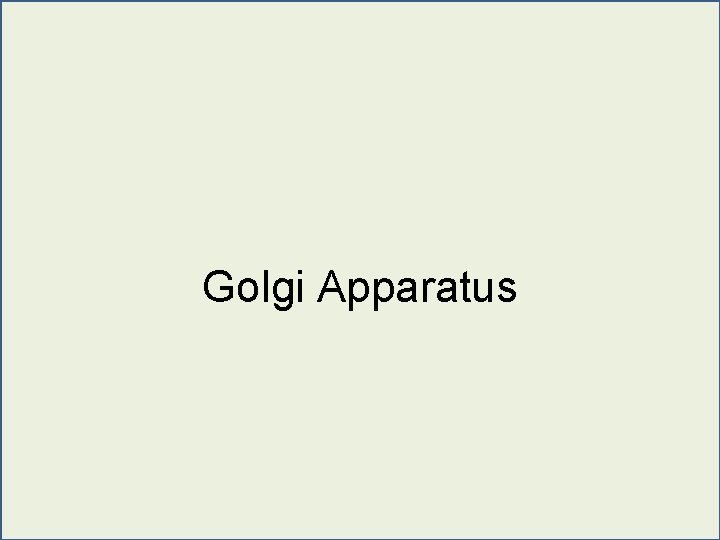 Golgi Apparatus 
