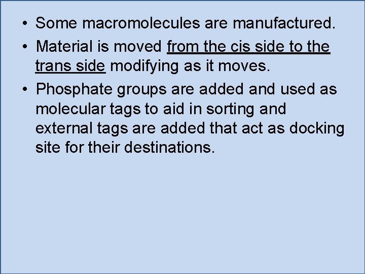  • Some macromolecules are manufactured. • Material is moved from the cis side