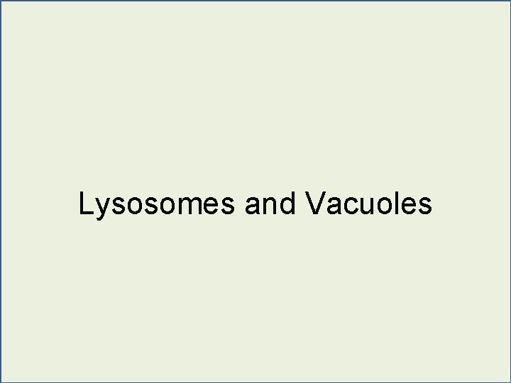 Lysosomes and Vacuoles 