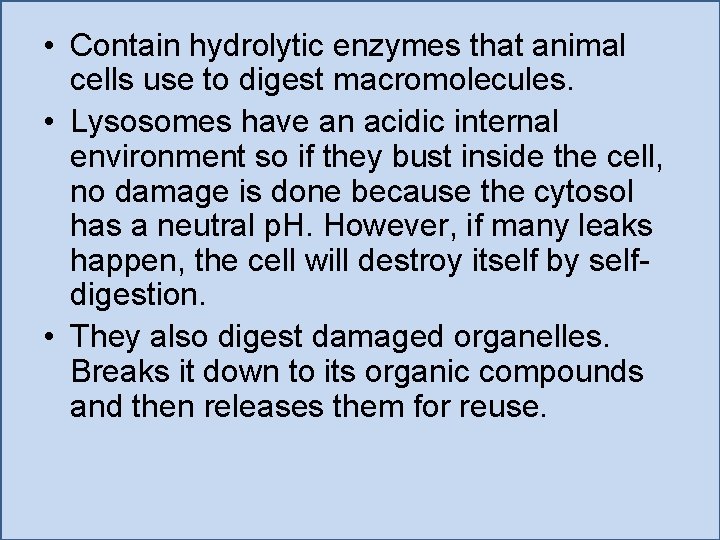  • Contain hydrolytic enzymes that animal cells use to digest macromolecules. • Lysosomes