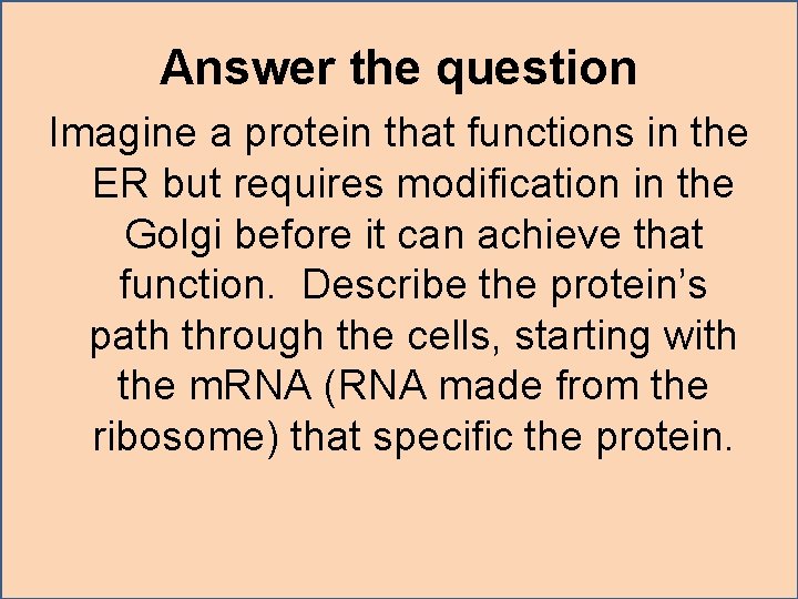Answer the question Imagine a protein that functions in the ER but requires modification