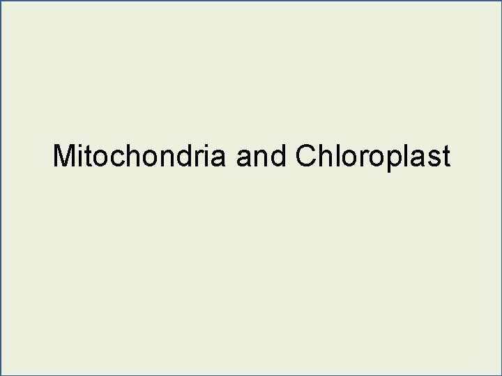 Mitochondria and Chloroplast 