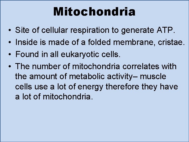 Mitochondria • • Site of cellular respiration to generate ATP. Inside is made of