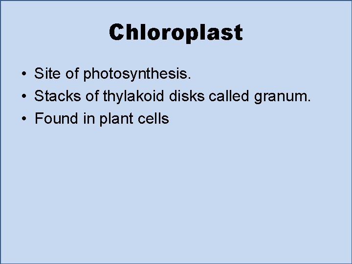 Chloroplast • Site of photosynthesis. • Stacks of thylakoid disks called granum. • Found
