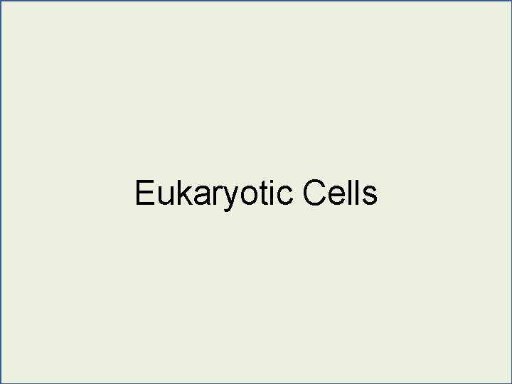 Eukaryotic Cells 