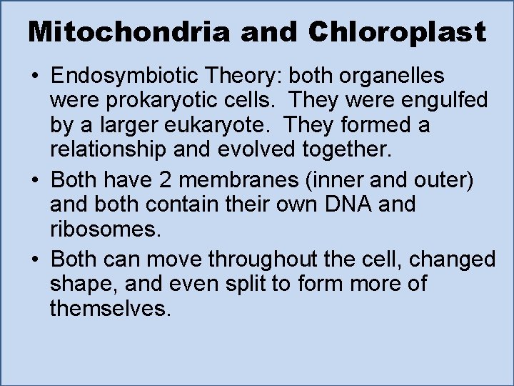 Mitochondria and Chloroplast • Endosymbiotic Theory: both organelles were prokaryotic cells. They were engulfed