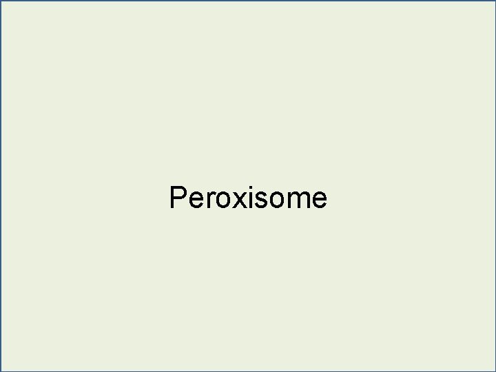 Peroxisome 