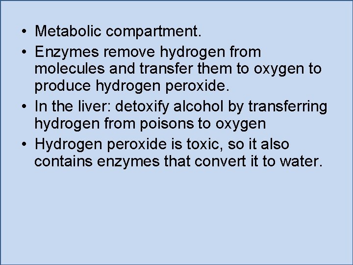  • Metabolic compartment. • Enzymes remove hydrogen from molecules and transfer them to